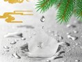 公益组织PPT的AI情感化设计探讨
